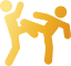 Icon MMA
